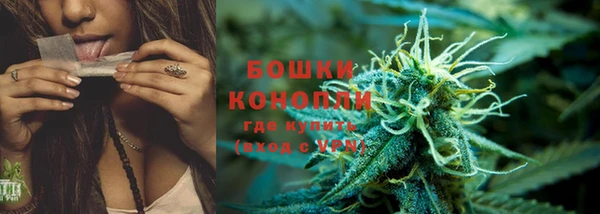 spice Козловка