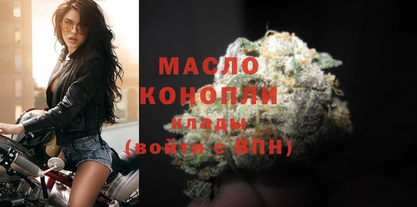 дживик Краснослободск