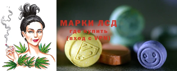 индика Корсаков