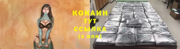 гашик Коряжма