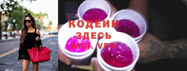 индика Корсаков