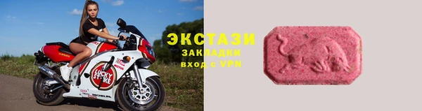 дживик Краснослободск