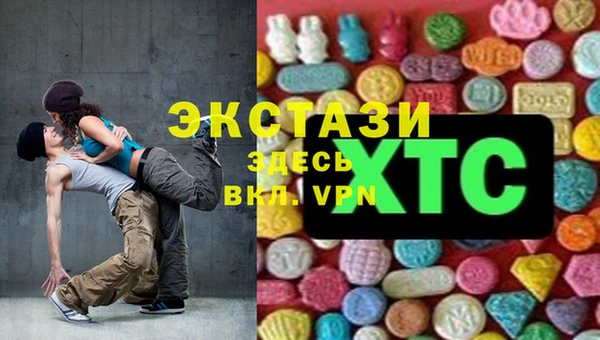 дживик Краснослободск