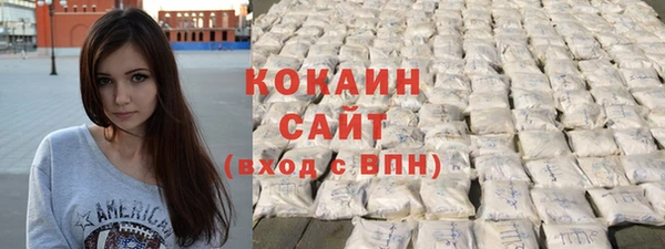 гашик Коряжма