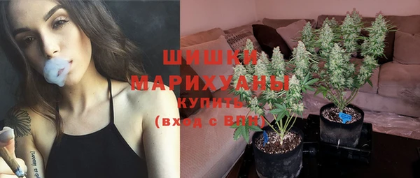 гашик Коряжма